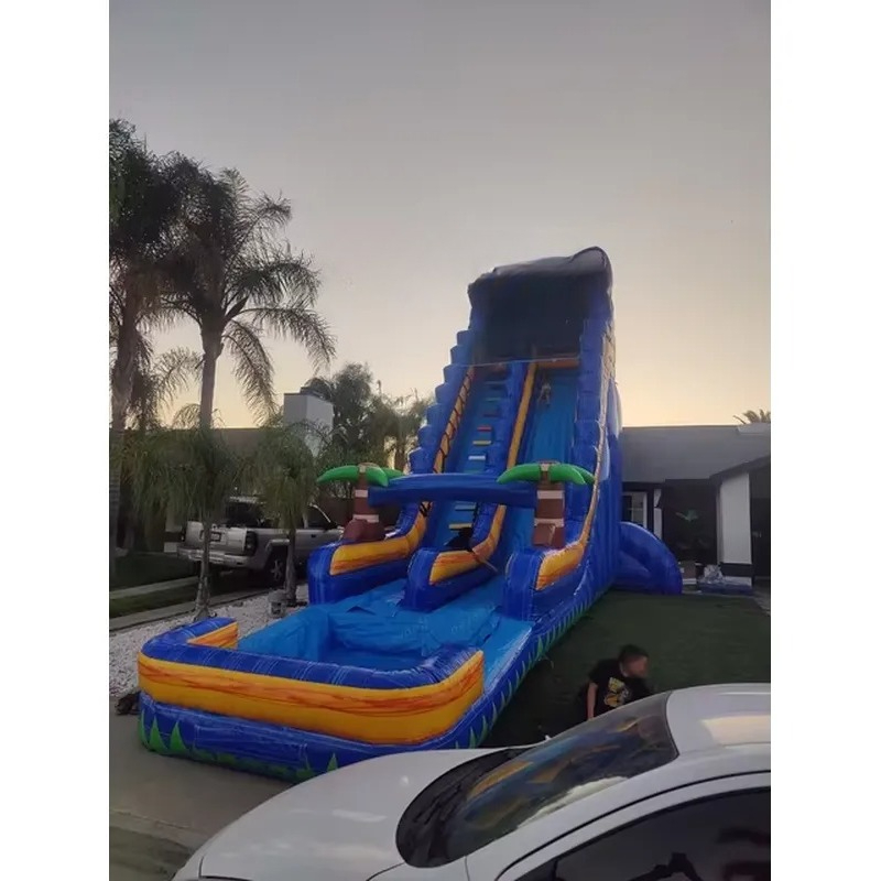 2026Tall Giant Dubbele Baan Co - Kids Outdoor Inflatable Water Slide recensie en prijs